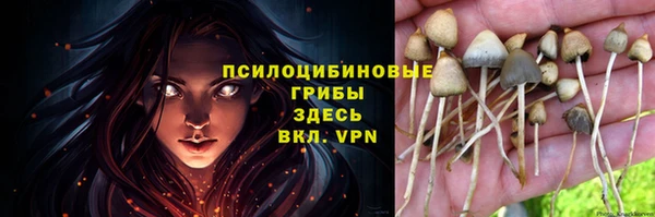 не бодяженный Абдулино