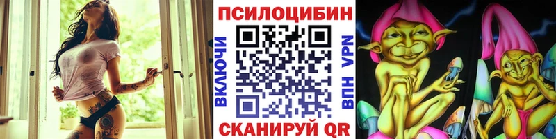 Псилоцибиновые грибы Cubensis купить наркотики сайты Анапа