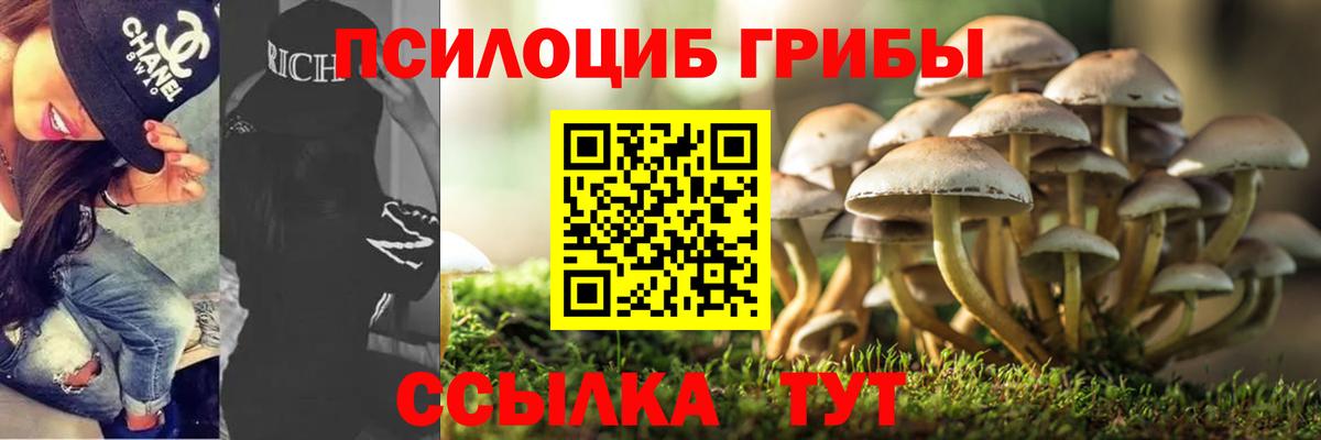 Галлюциногенные грибы Cubensis  продажа наркотиков  Анапа  Вход с VPN 