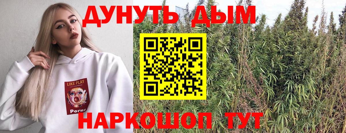 Марихуана конопля  Конопля планчик  Анапа  Канабис Amnesia  Вход с VPN 